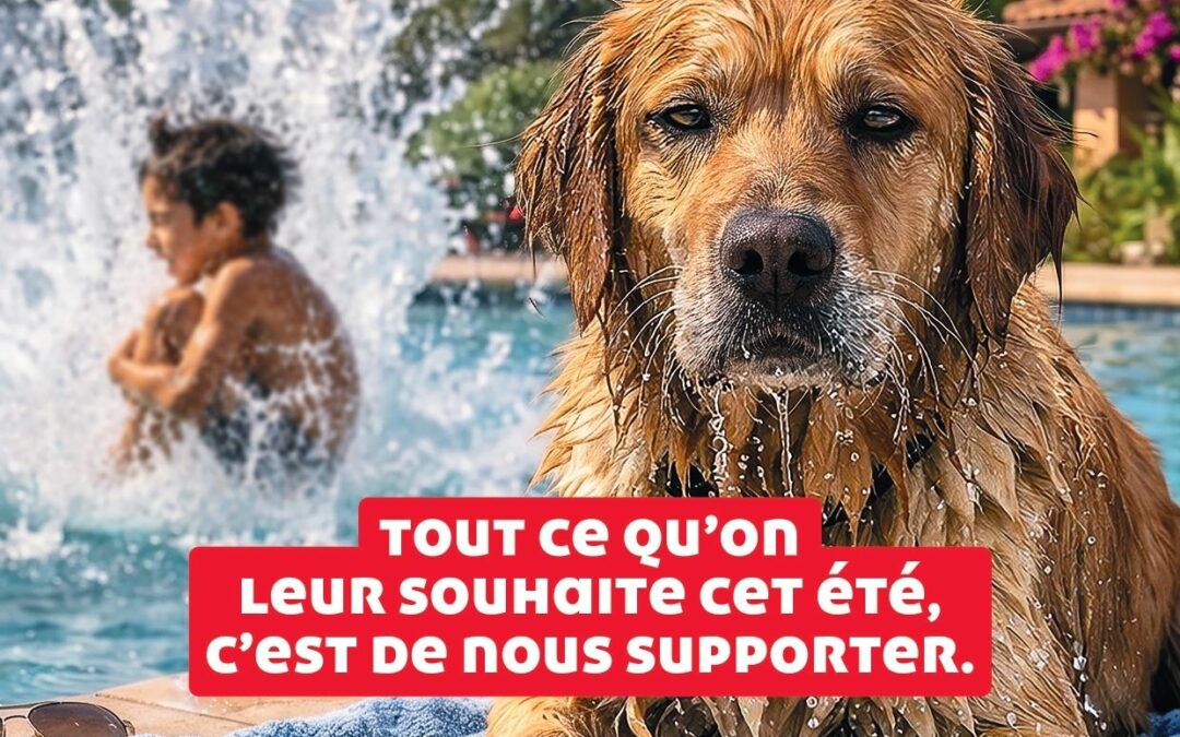 CAMPAGNE ESTIVALE DE SENSIBILISATION