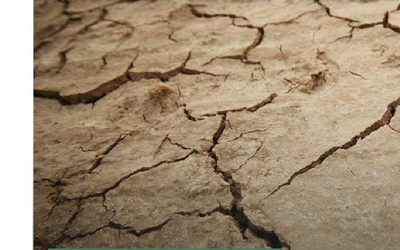 SECHERESSE COMPRENDRE – PREVENIR – S’ADAPTER